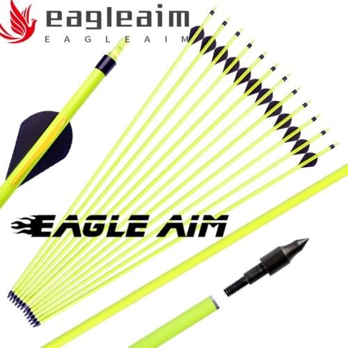 12PCS 30'' Targeting Arrows Carbon Compound Bow Hunting Arrows Archery Yellow Shaft Spine 600 100Gr Arrowhead 3inch Feather Vane