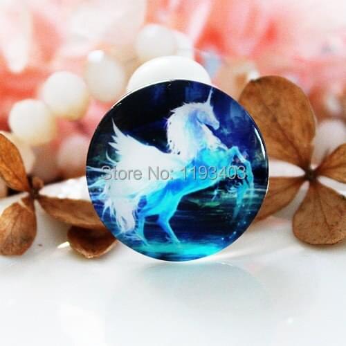 20pcs 20mm 25mm 30mm Round Glass Beads Cabochon DIY For Tray Pendant setting finding-(Pegasus)-(HPGC-4256)