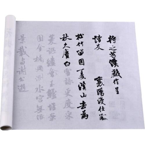 Chinese Calligraphy Copybook Beginner Brush Pen Tracing Rice Paper Copybook Adult Mi Fu Running Script Calligraphy Copybooks