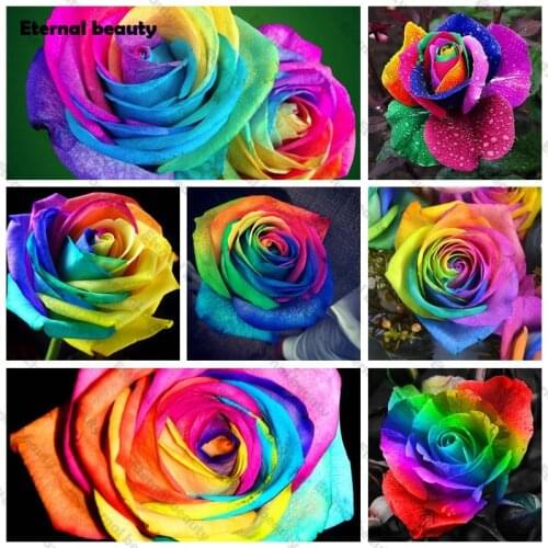 Rainbow Colorful Diamond Painting 5D Diy Kit Flower Wall Pictures Diamond Embroidery Rose Mosaic Wall Art for Home Decoration