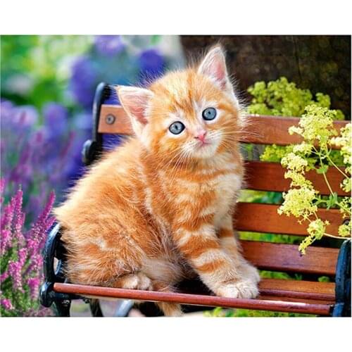 5D DIY diamond painting Animals full square/round kitten,diamond painting cat,rhinestones embroidery home decor gift flower