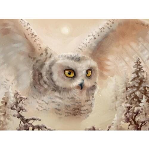 Canvas Size Full Circle Diamond 5d Diy Diamond Embroidery Owl Painting Cross Stitch Rhinestone Mosaic Decoration Gift