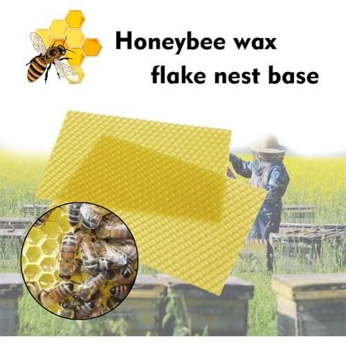 10pcs/30pcs Beeswax Sheets with Honeycomb Texture Bees Wax Coated Deep Foundation Flake Nest Base FPing