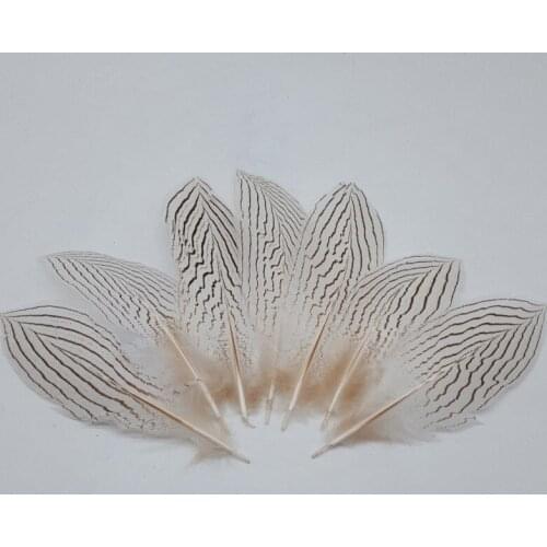 Wholesale 15-20cm Natural Silver Pheasant Tail Feathers for Crafts Wedding white feathers for Christmas tree decoration