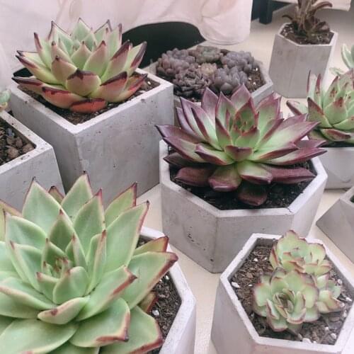 Concrete Design Molds Concrete Art Planter Pot Molds Silicone Flower Pot Molds Polygon Pot Molds