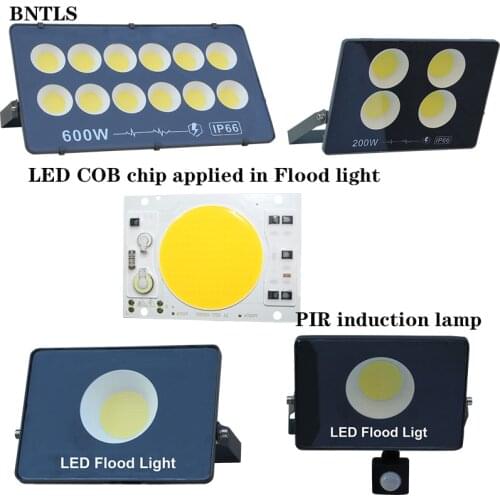 Cob LED Chip 30W 50W Power Cold White Warm Light Without Driver AC 110V 220V Floodlight Chip