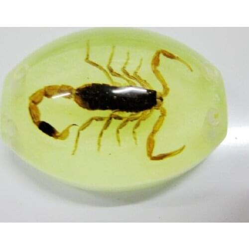 Chinese Natural Insect Accessories Jewelry Gold Scorpion Glow in the dark