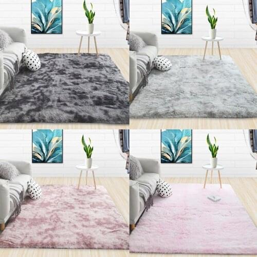 Thick Carpet for Living Room Plush Rug Children Bed Room Fluffy Floor Carpets 40*60cm