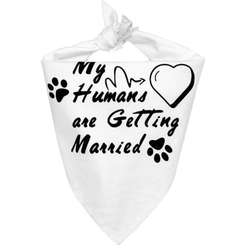 Pet Cat Dog Bandana Bibs Scarf Collar Happy Birthday Dual Layers Dog Collar Saliva Towel Kerchief Neckerchief for Puppy