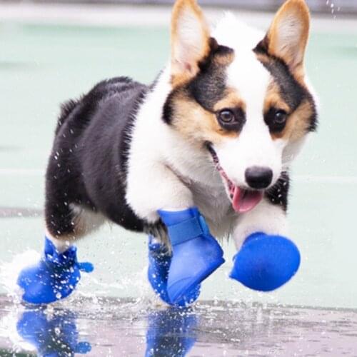 Outdoor Walking Pet Dog Rain Shoes for Small Medium Dogs Waterproof Chihuahua Poodle Puppy Boots Mascotas Supplies zapatos perro