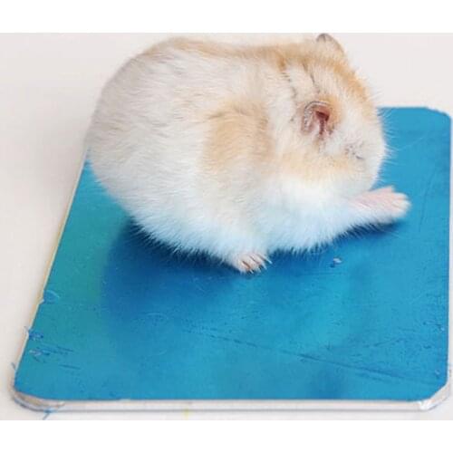 Small Pet Hamster Summer Heat Sink Board Ice Steel Plate House Heat Dissipation Plate Rabbit Totoro Gerbil Cage Decor 8*12cm