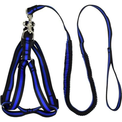Harnesses Dogstory China