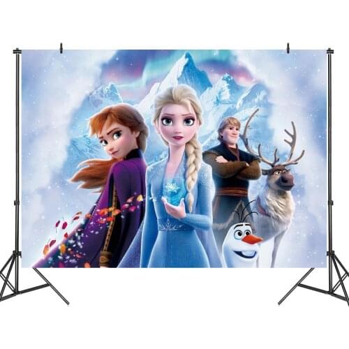 125x80cm Frozen Elsa Princess Party Backdrops Curtain Photobooth Backdrop Cloth Childrens Birthday Party Wall Decorations