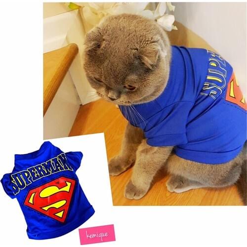 Kemique Superman Cat T-Shirt By Kemique Cat Outfit