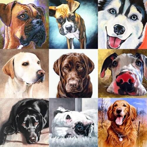 Tapb DIY Paint By Numbers On Canvas Animal Cute Dog DIY Handicraft Adult Coloring By Number Acrylic Paint Home Art Decor