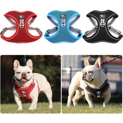 Kidifuns Products For Dogs