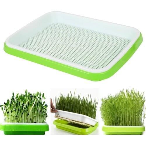 Seed Sprouter Tray Free PP Soil-Free Large Capacity Healthy Wheatgrass Grower Planting Pot Seading Sprout Plate Hydroponic