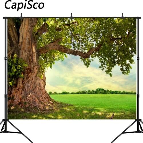 Capisco Spring backdrop forest woodland meadow Wedding Outdoor photography background photo studio child photophone photocall