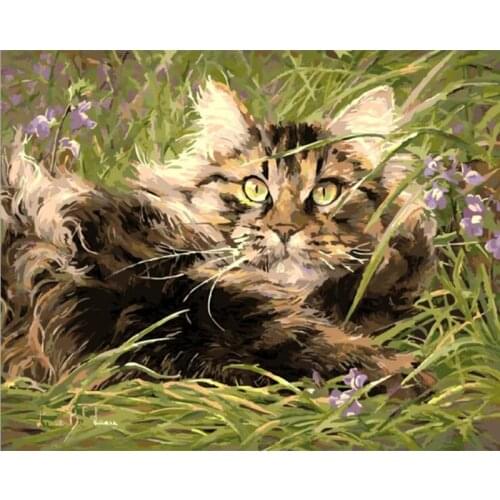 Painting By Numbers DIY Dropshipping 40x50 50x65cm Funny cat in the grass Animal Canvas Wedding Decoration Art picture Gift
