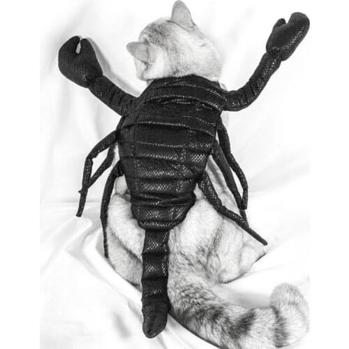 Halloween Cosplay Costume Simulation Scorpion Cat Dog Party Clothes Fun Xmas Costume For Small And Medium Dogs