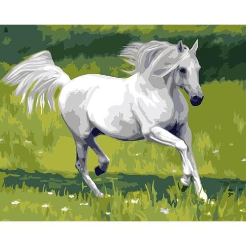 Painting By Numbers DIY Dropshipping 40x50 50x65cm Birthday White Horse Animal Handmade Gift For Adult Unique Gift Home Decor