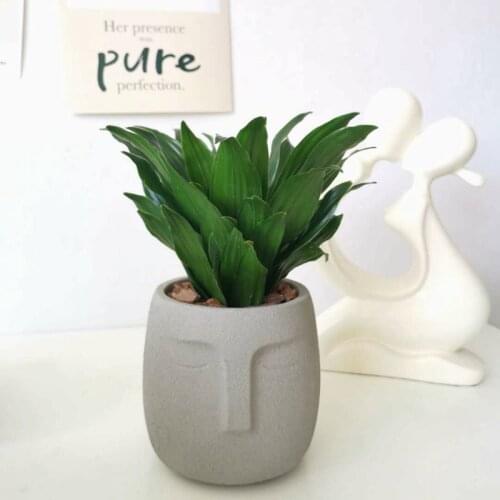 HP0181 Face Cement Flower Pot Mould Handmade Silicone Concrete Mould Used for Succulent Plant New Organic Concrete Mould
