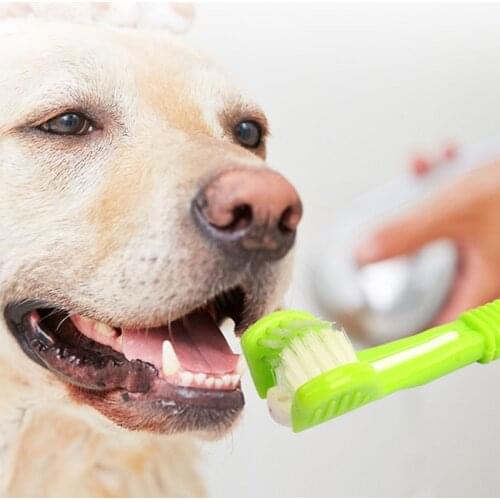 Pet Oral Cleaning Three-head Toothbrush