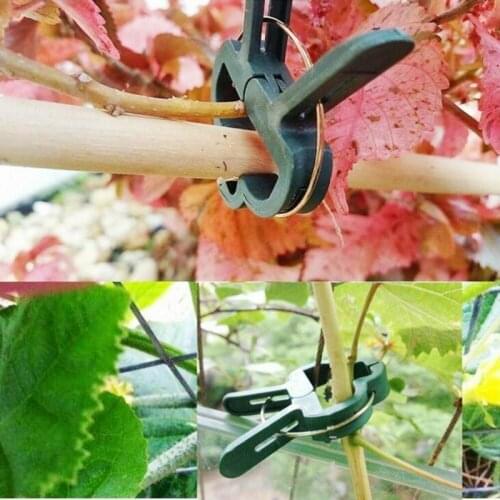 20pcs Garden Plant Clips Seedlings Plants Support Tools Reusable Plastic Clips