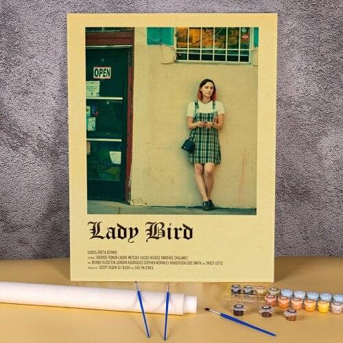 Vintage Movie Lady Bird Retro Coloring By Numbers Painting Complete Kit Oil Paints 50*70 Canvas Pictures Home Decor Drawing