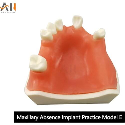 Dental implant dental model oral material practice maxillary sinus dental supplies instruments tools soft gum