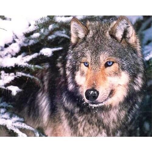 5D Diy Diamond Painting Animal Wolf Cross Stitch Full Round Rhinestone Diamond Mosaic Embroidery ice European Home Decor