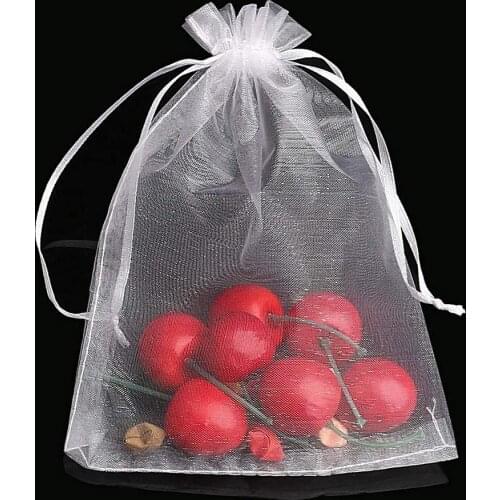 50Pcs Protective Grape Bag Fruit Protection with Drawstring Anti-Bird Moisture Insect Net Bag Prevent Fruit Tree Waterp