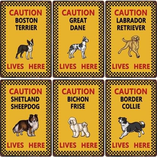 [ DecorMan ] Pets Dogs Caution Border Collie Husky Bichon Frise Labrador Lives Here Tin Metal SignPaintings Bar PUB Decor DG-002