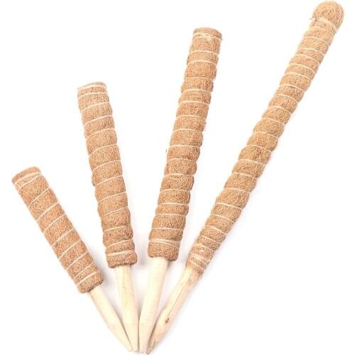 Plant Climbing Pole Coconut Moss Stick Coconut Moss Palm Vines Stick Plant Support Expansion Climbing Houseplants Climbing Plant