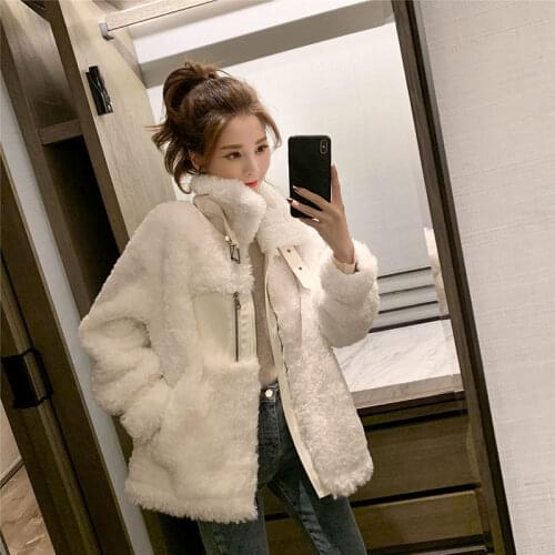 Women 2021 Autumn Winter Thick Warm Soft Zipper Fur Jacket Female Plush Overcoat New Pocket Casual Loose Teddy Outerwear B22