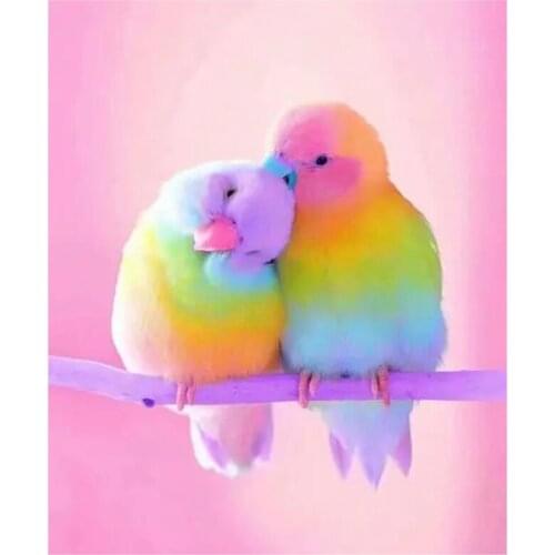 5D DIY Full Round/Square Diamond Painting Animal Bird Cross Stitch 3D Embroidery Parrot Rhinestone Mosaic Home Decor Gift Y403