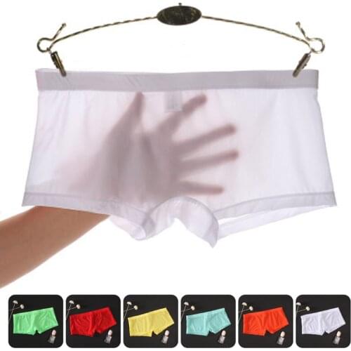 Half Transparent Mens Sexy Underwear Men Boxer Hombre Cuecas Gay Underpants Ice Silk Seamless Underwear Boxers Shorts Slip Homme