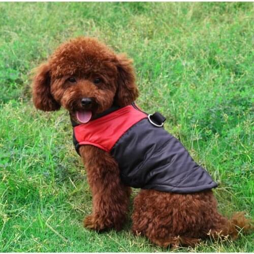 Dog Clothes Manufacturer Wholesale Designer Multi-colors Warm Cotton Stuffed Coat Winter Pet