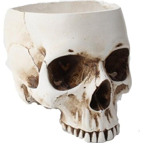 Europe and the United States Retro Skull Flower basin resin desktop decoration flower pot ornaments Creative home meaty plant