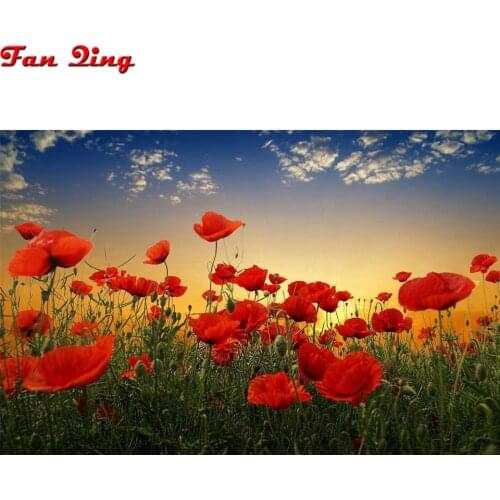 Poppy flower field landscape Diy Diamond Painting Mosaic Drill Resin Full Square Embroidery diamond round 3D Needlework