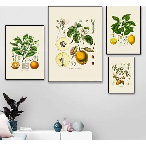 Vintage Fruits Poster Apple Pear Lemon Paintings Canvas Print Poster Botanical Art Antique Pictures Wall Art Canvas Paints Home