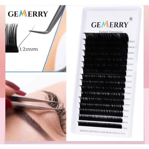 5 Pcs Individual Eyelash Extension Faux Cils Mink False Eyelashes Artificial Lashes HandMade Natural Lash Wholesale 12 Rows