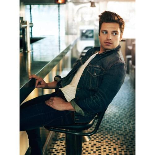 Home Decor Sebastian Stan Actor Star 1-Silk Art Poster Wall Sicker Decoration Gift