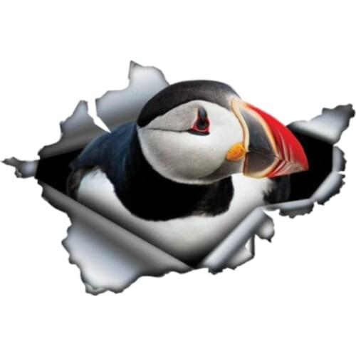 Dawasaru Creative Car Sticke 3D Atlantic Puffin Car Window Decal Waterproof High Quality Vinyl Cover Scratches PVC 13cm*9cm
