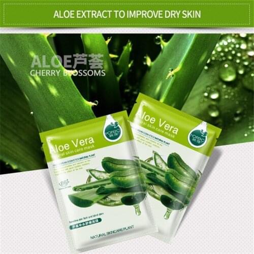 Skin Care Natural Fruit Plant Facial Mask Moisturizing Oil-Control Blueberry Cucumber Pomegranate Fruit Aloe Sheet Face Mask