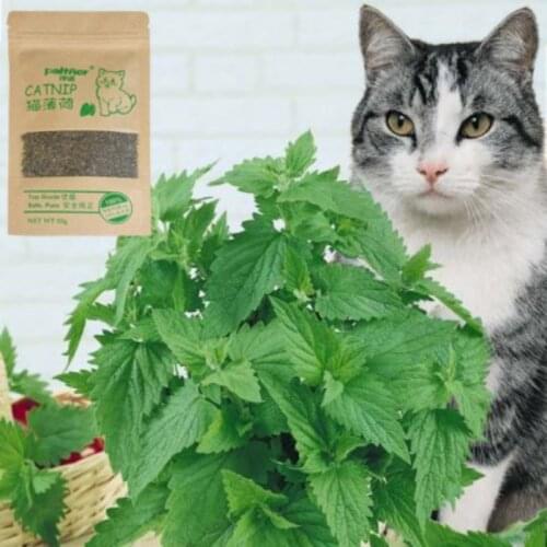 Natural Catnip 100% Organic Premium Catnip Cattle Grass Menthol Flavor Funny Cat Toys Interactive Healthy Safe Home Pet Products