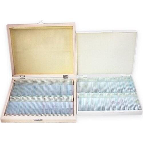 Microscope Slides Prepared Kids Students Biology Specimen Lab Sample w/ Insects Plants Science Learning Home School