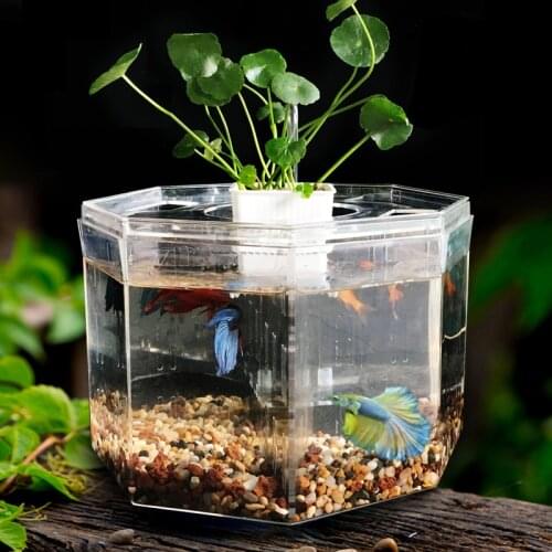 Transparent Filter Fish Tank Landscape Plastic Small Home Divider Fish Tank Ecosystem With Lid Peceras Fish Accessories EI50YG