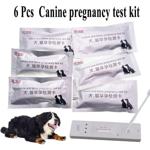 6PCS Pet Dog Cat Canine Feline Early Pregnancy Test Strips Kit Clinic Home Blood Serum Gestation Pregnant Card Tools Supplies