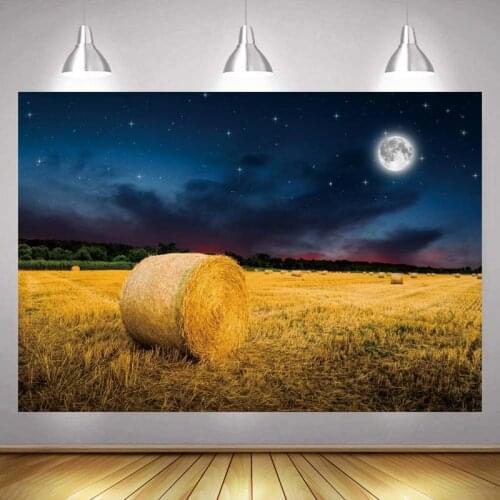 Autumn Party Photo Backdrop Custom Leave Forest Maple leaf Happy Birthday Party Decoration Photography Backgrounds Banner